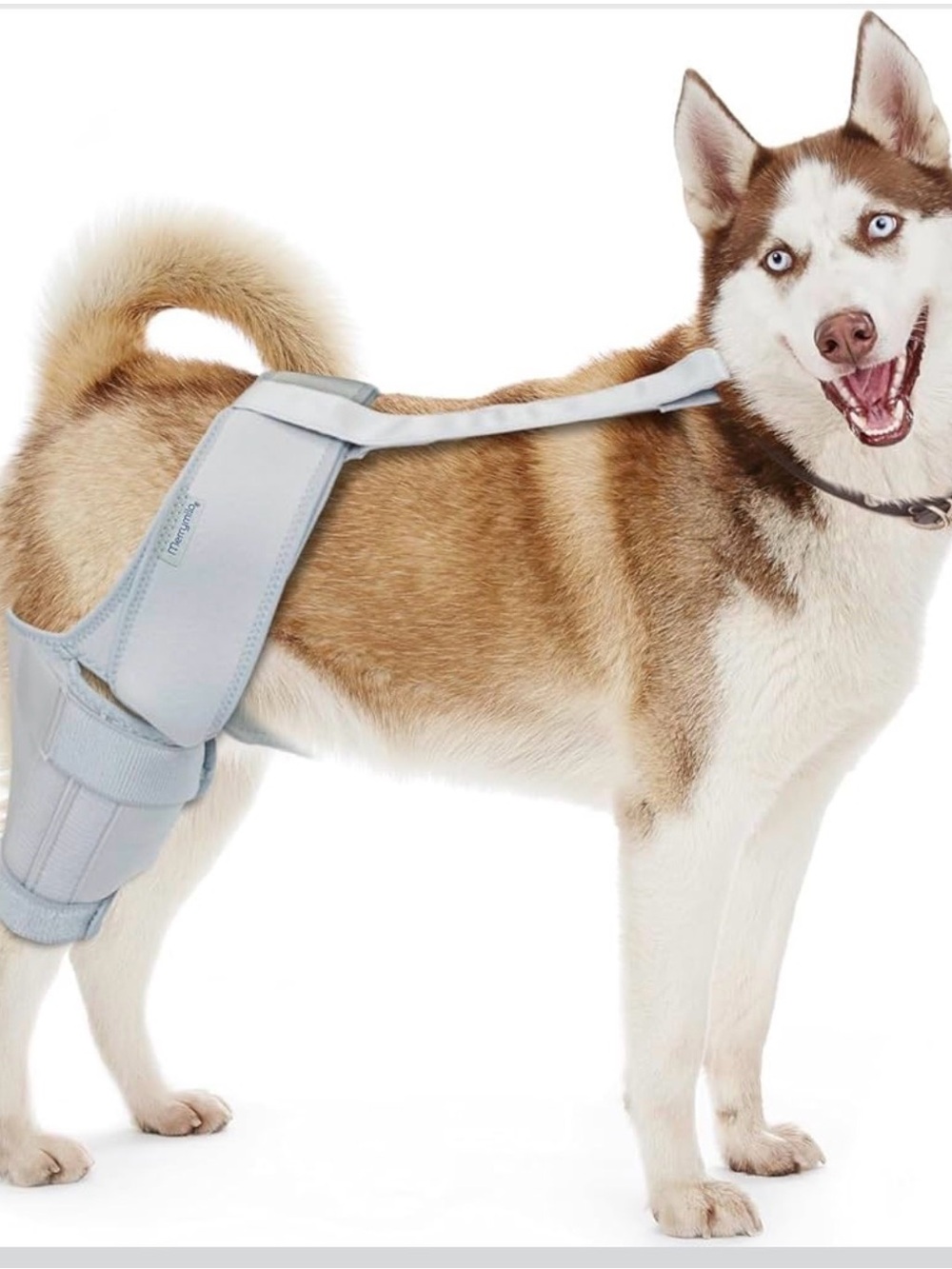 Dog Knee Brace for Sprain ACL Injury Support Back Leg Adjustable Large